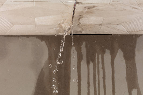 Professional Water Damage Repair technician working in West Elizabeth, PA
